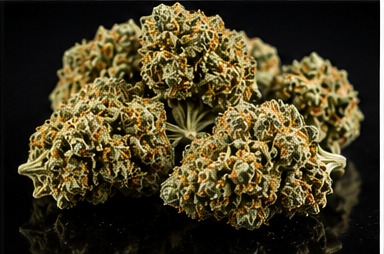 Emerald_Crown Emerald Crown