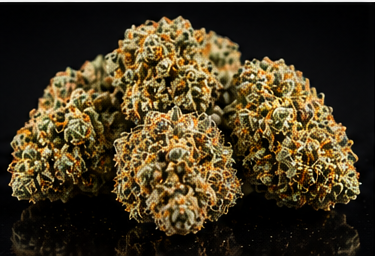 Golden Frost