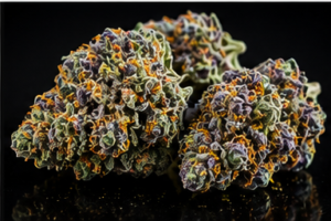 Purple Royale